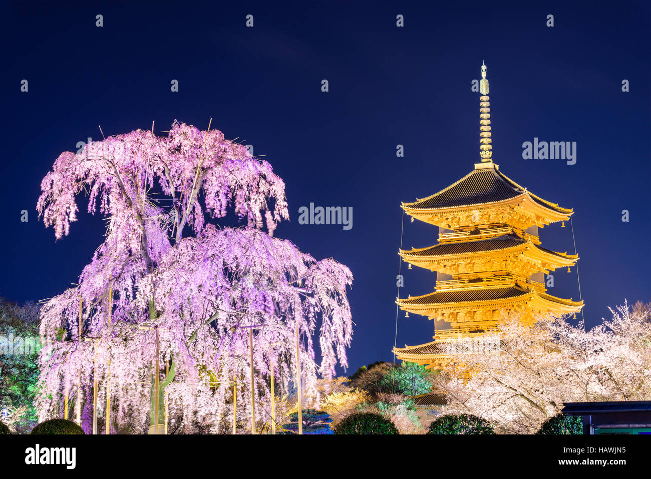 Kyoto, Japon à la Pagode Toji au printemps. Banque D'Images