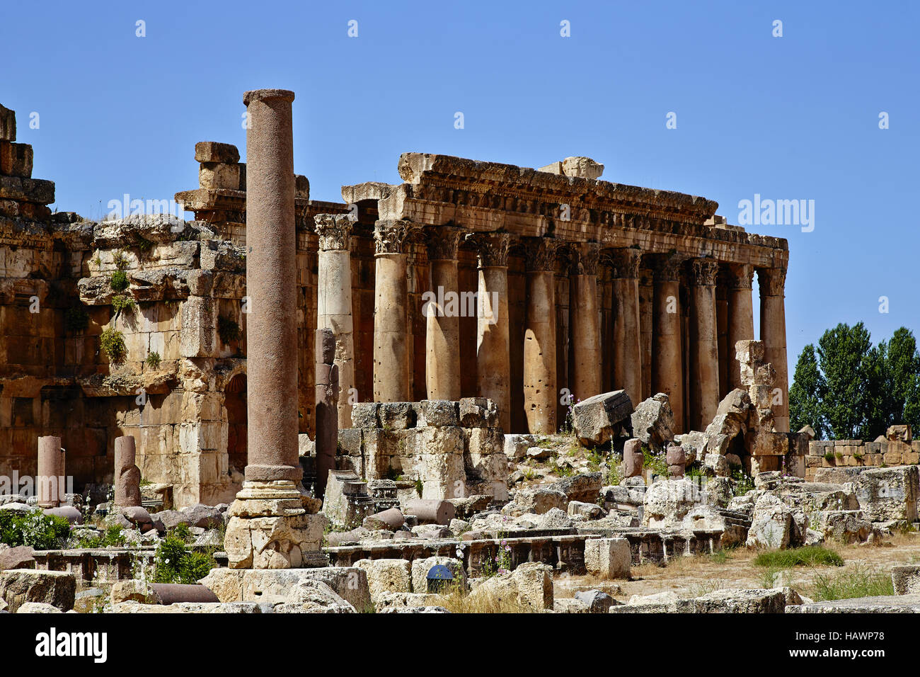 Temple de Bacchus - Baalbek, Liban Banque D'Images