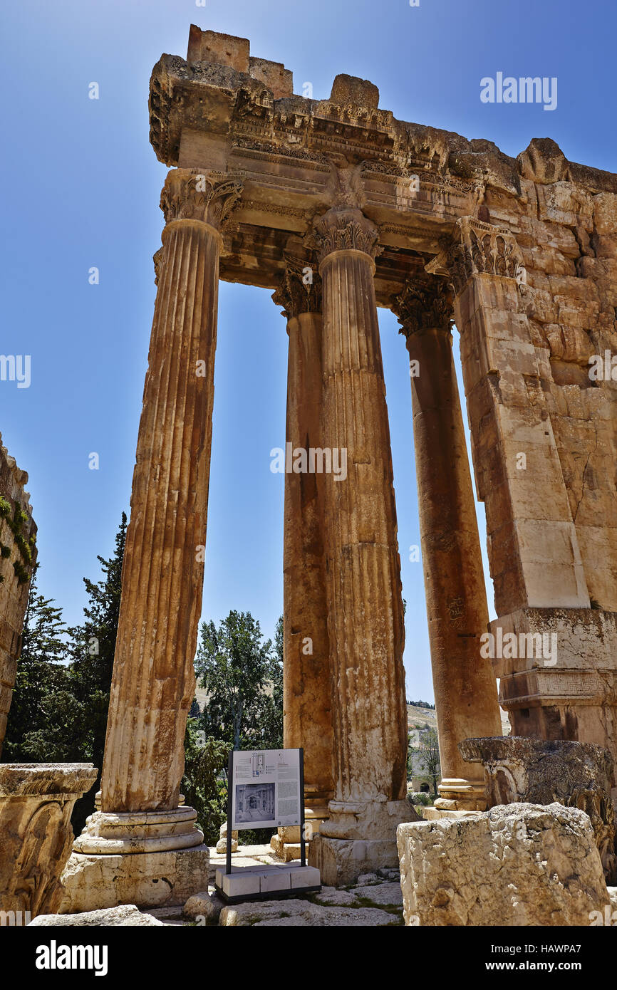 Temple de Bacchus - Baalbek, Liban Banque D'Images