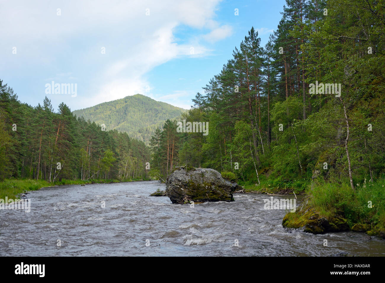 République de l'Altaï, stormy mountain river la Sema Banque D'Images