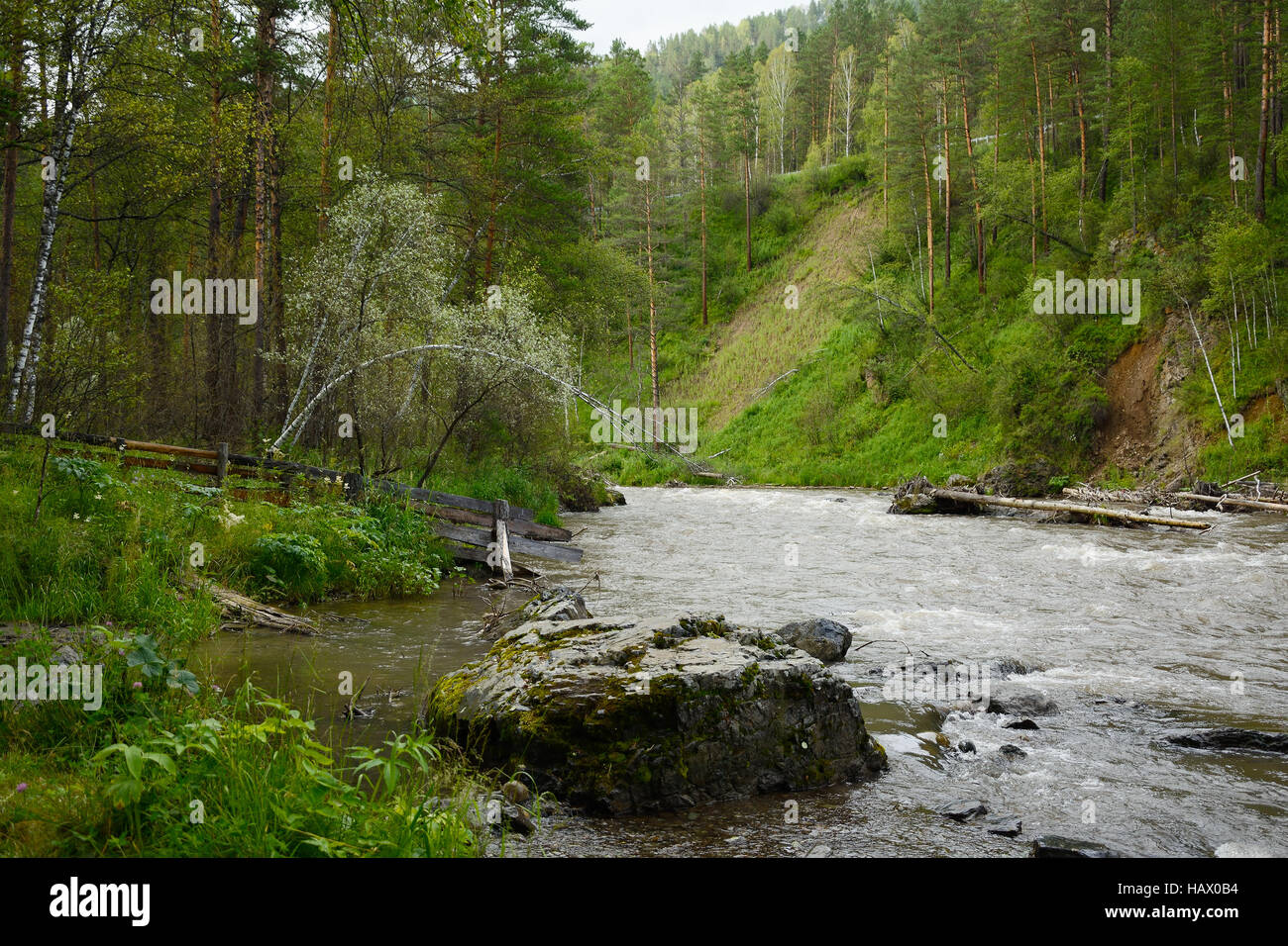 République de l'Altaï, stormy mountain river la Sema Banque D'Images