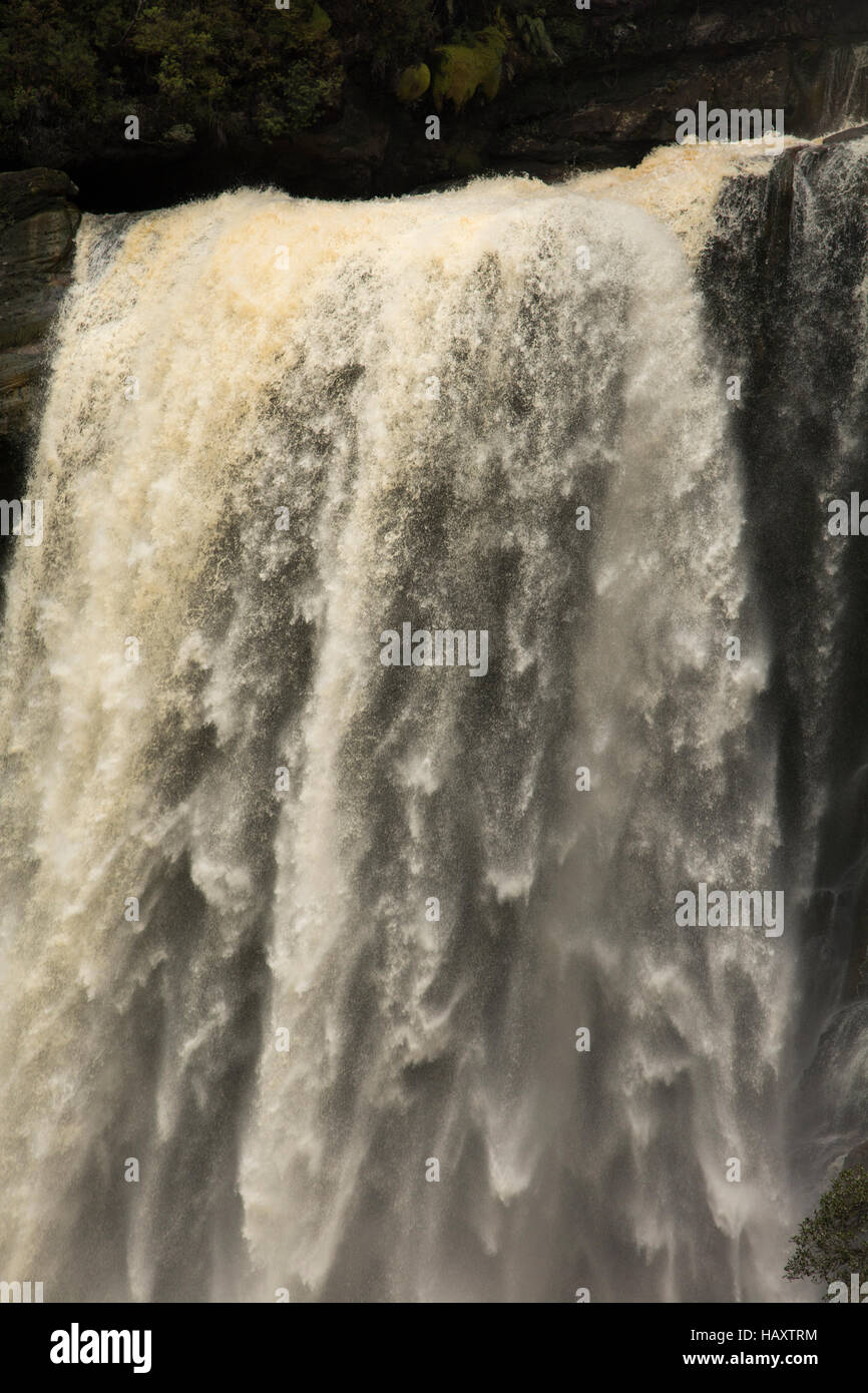 La charmante promenade du ruisseau passe l'impressionnant 25 mètre de haut Mangatini tombe dans la gorge de Ngakawau tonitruantes. Banque D'Images