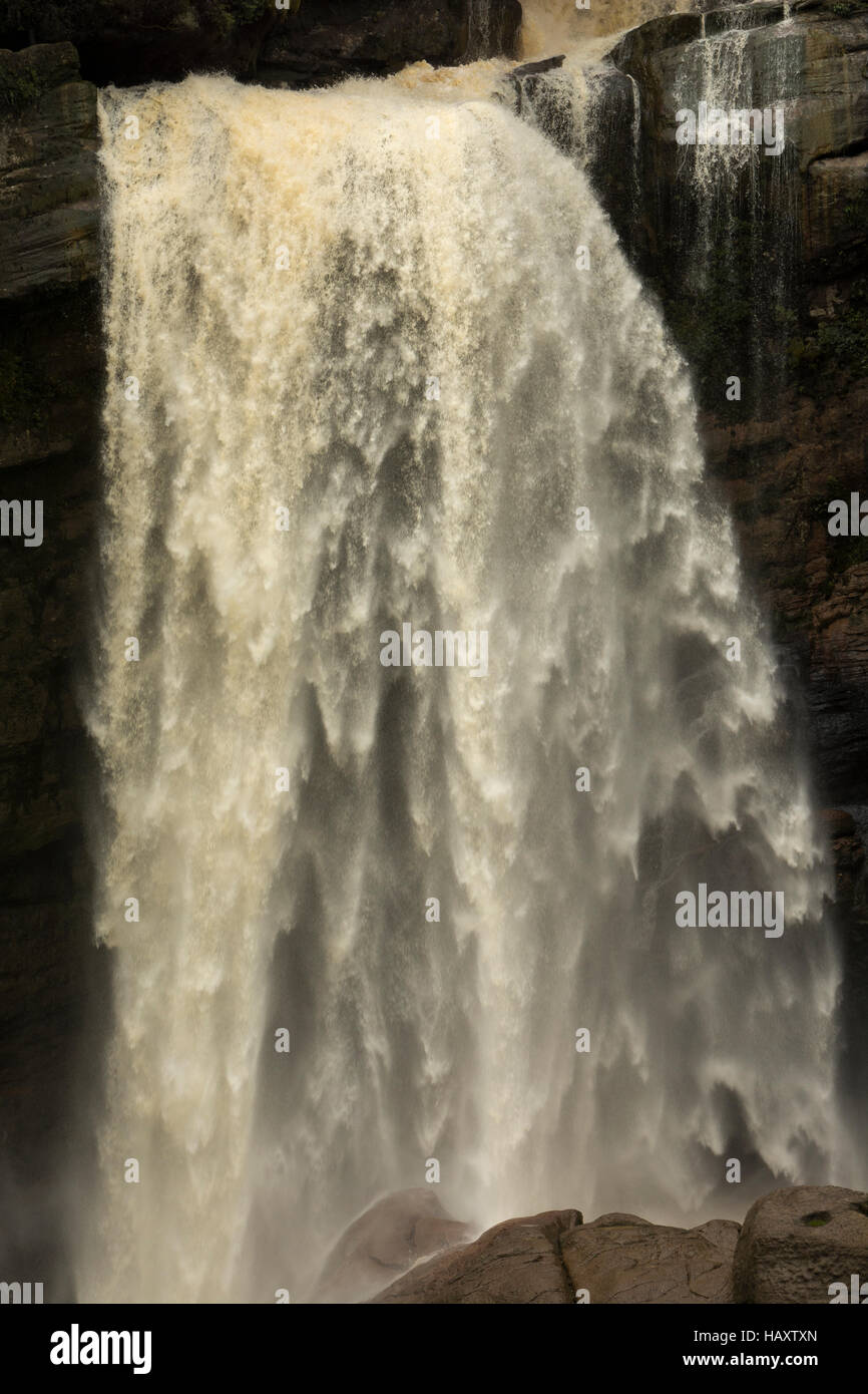 La charmante promenade du ruisseau passe l'impressionnant 25 mètre de haut Mangatini tombe dans la gorge de Ngakawau tonitruantes. Banque D'Images