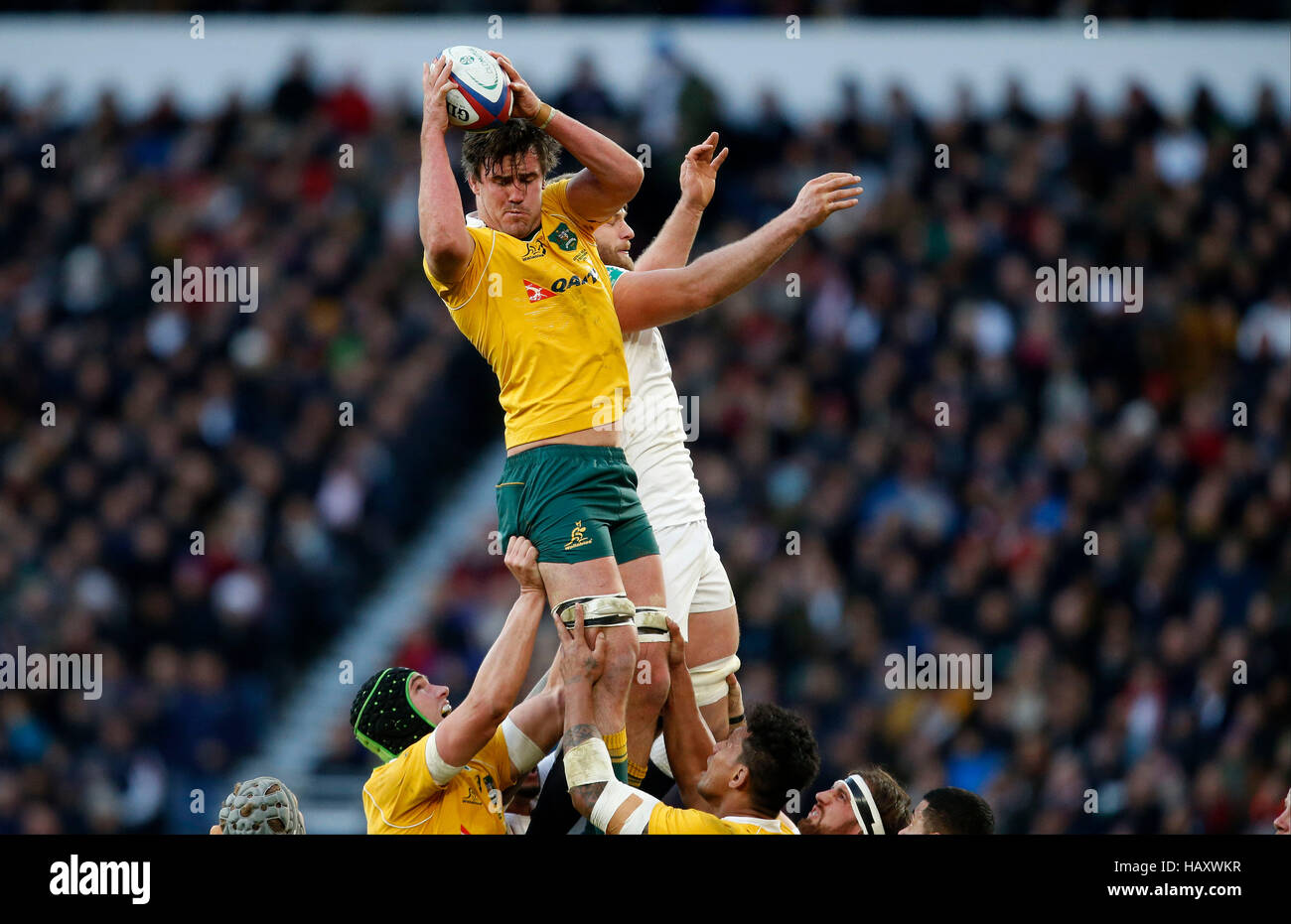 L'Australie et l'Angleterre Douglas Kane's George Kruis pendant l'automne de l'International match au stade de Twickenham, Londres. Banque D'Images L'Australie et l'Angleterre Douglas Kane's George Kruis pendant l'automne de l'International match au stade de Twickenham, Londres. Banque D'Images