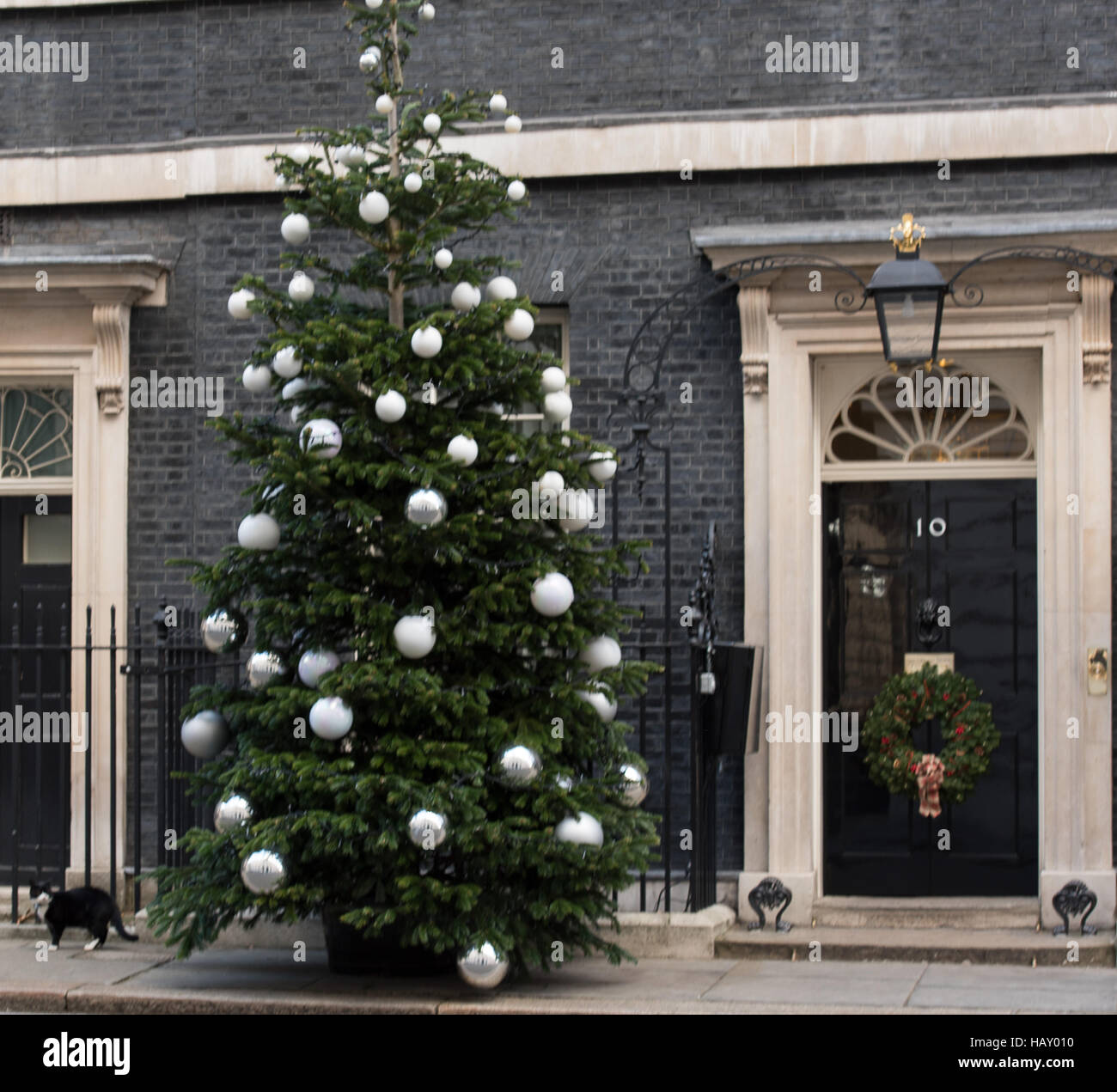 10 Downing Street et l'arbre de Noël la décoration de porte avec Palmerston, le FCO cat Banque D'Images