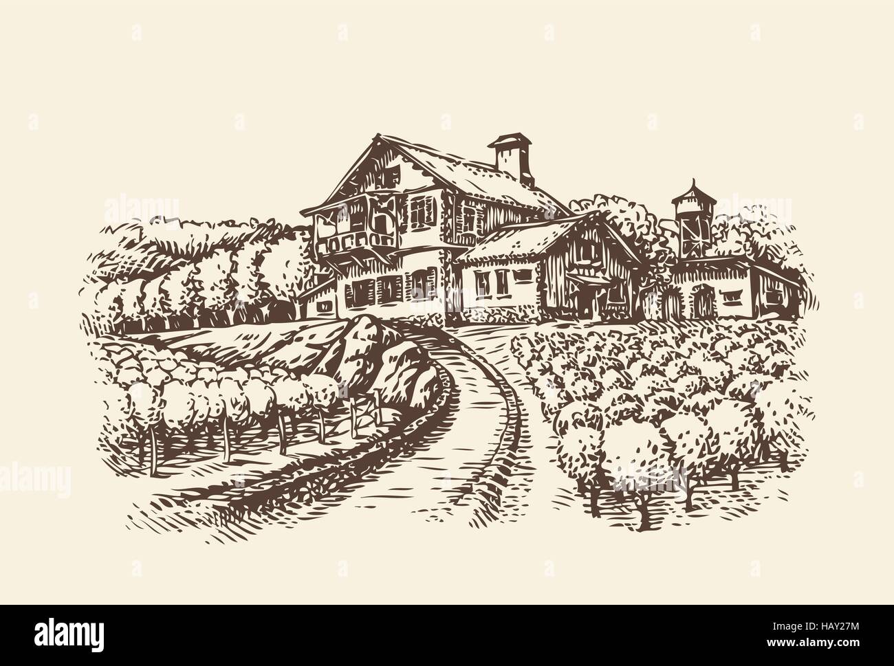 Paysage agricole. Vignoble dessiné à la main ou l'agriculture. Sketch Vintage vector illustration Illustration de Vecteur