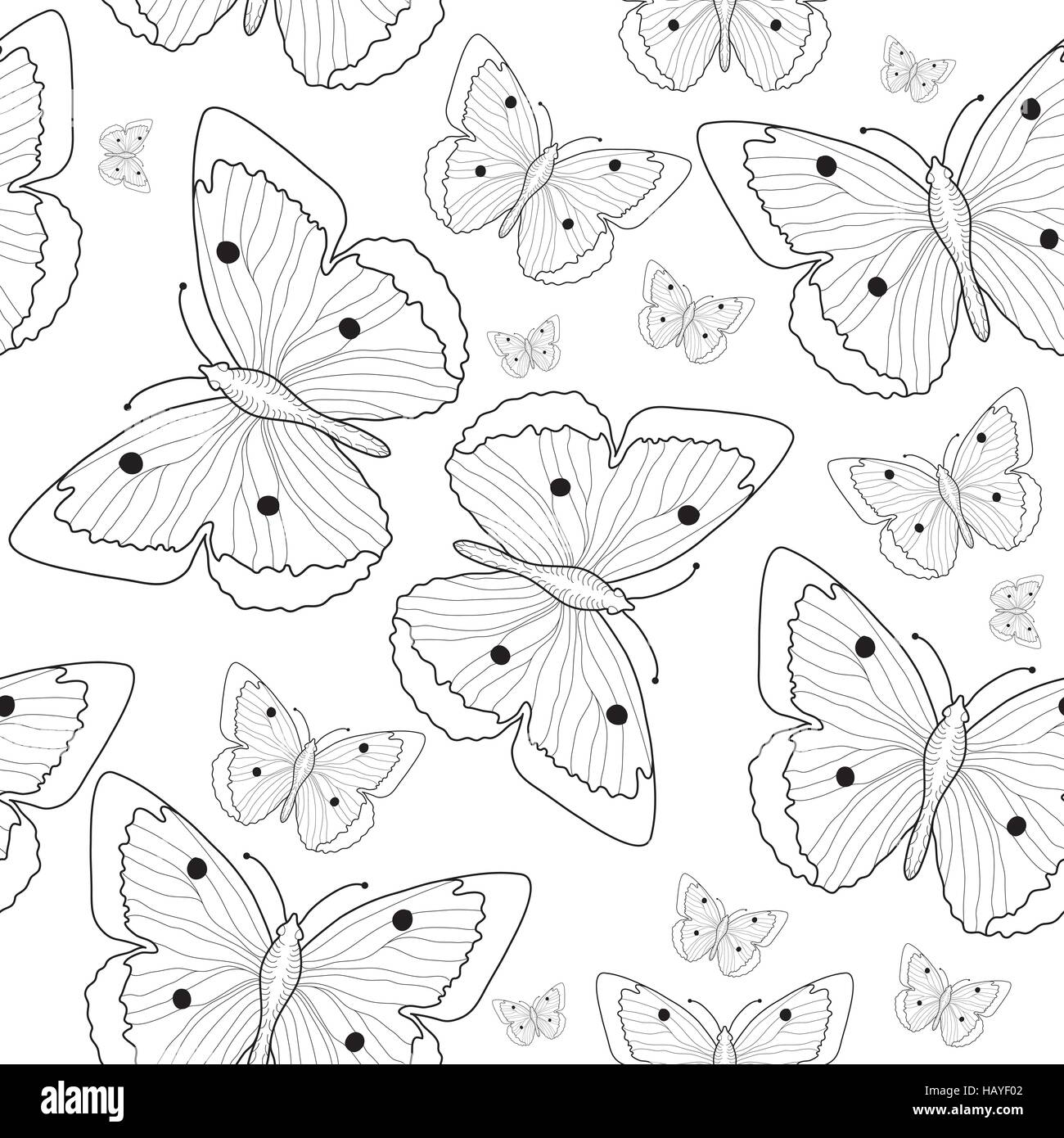 Dessin à la main motif papillon transparente croquis. Papillon noir et blanc arrière-plan. Vector illustration Illustration de Vecteur