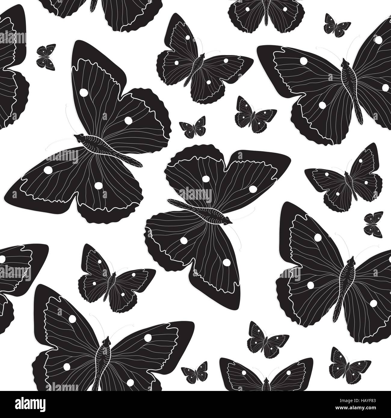 Papillon noir élégant motif transparente esquisse. Papillon noir et blanc arrière-plan. Vector illustration Illustration de Vecteur