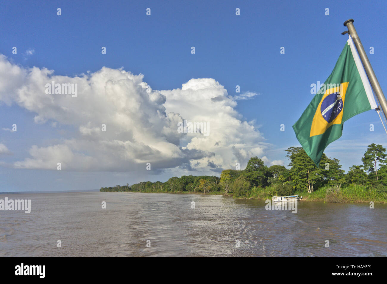 Amazonie, Brésil Banque D'Images