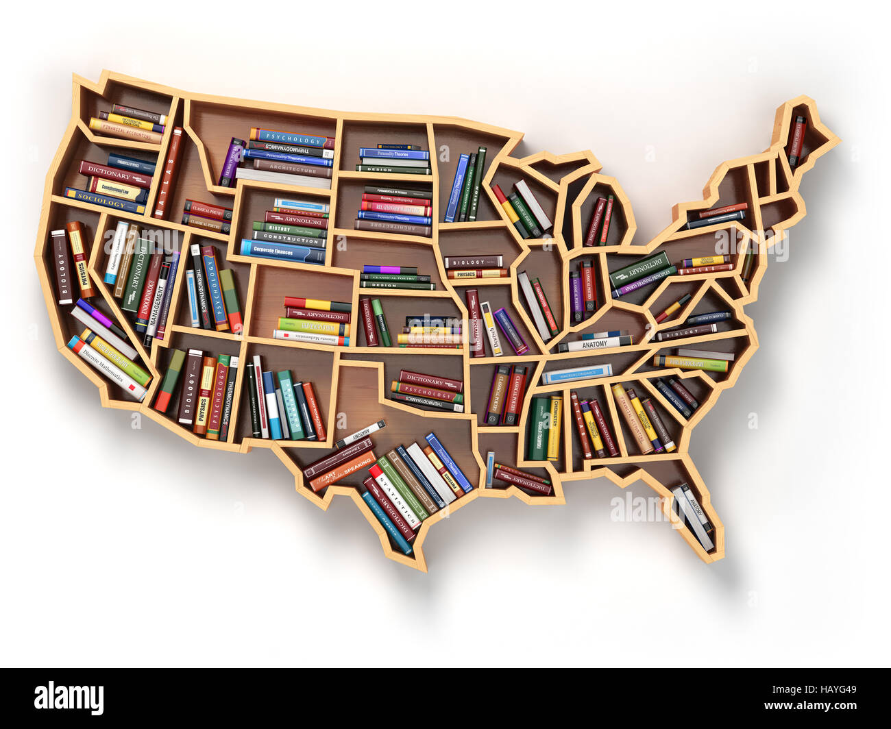 USA l'éducation ou de marché livres concept. Étagère comme site d'USA. 3d illustration Banque D'Images