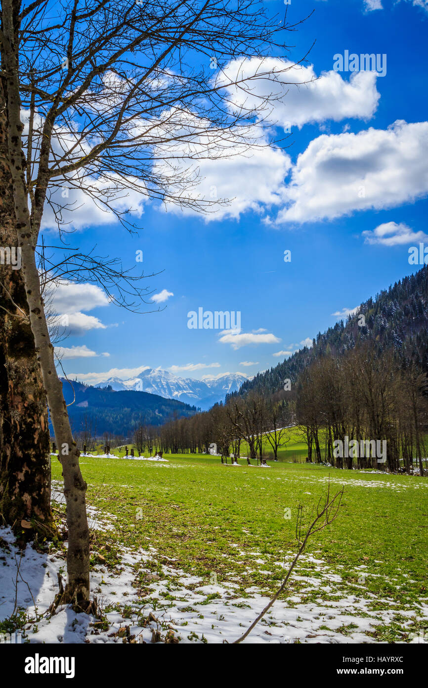 Vallée verte Banque D'Images