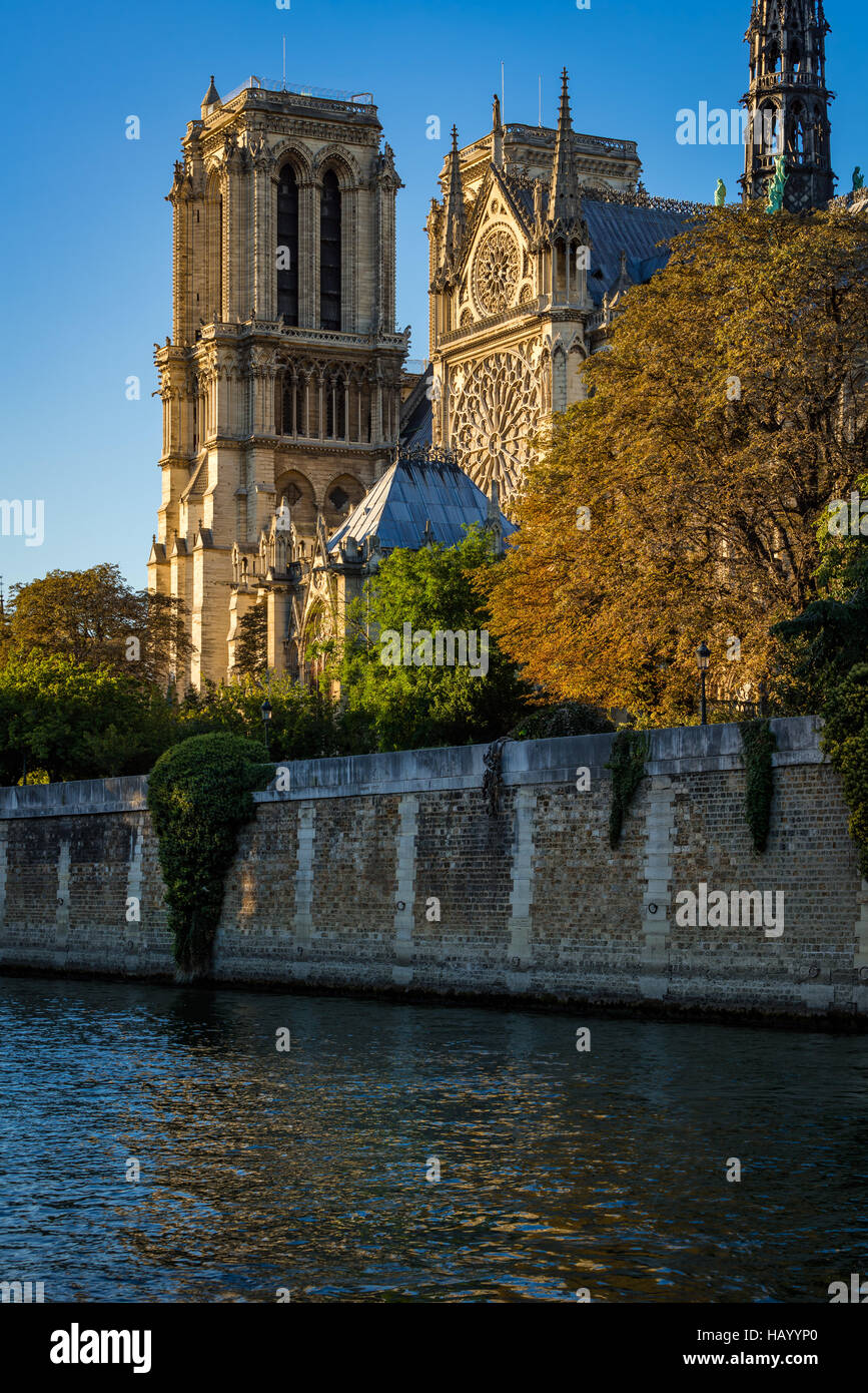 Notre Dame de Paris cathédrale au coucher du soleil avec la Seine sur l'Ile de La Cité. Soirée d'Automne à Paris, France Banque D'Images