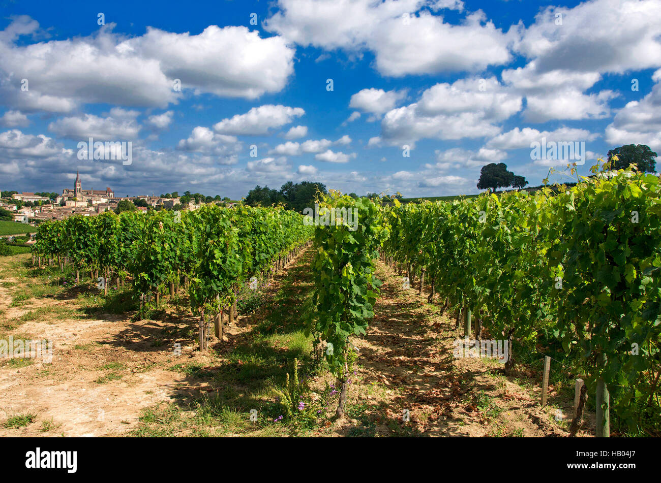 Village et vignoble de Saint Emilion, Gironde, Nouvelle Aquitaine, France, Europe Banque D'Images