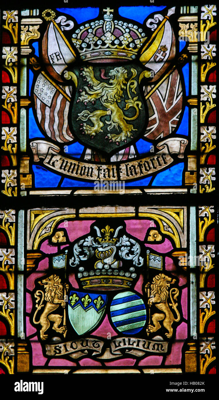 Vitrail dans l'église de Braine-le-Chateau, Wallonie, Belgique, représentant le Leo Belgicus ou lion belge Banque D'Images