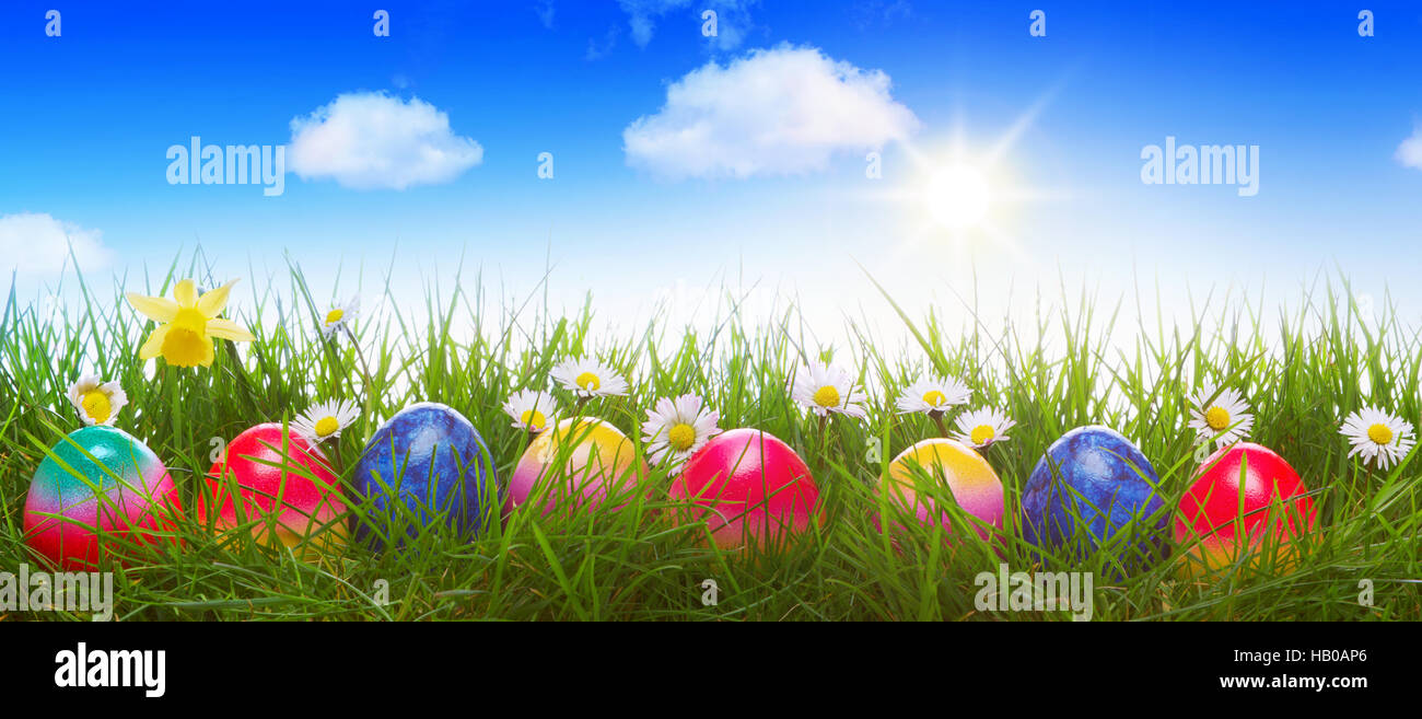 Les oeufs de Pâques colorés sur le pré vert. Banque D'Images