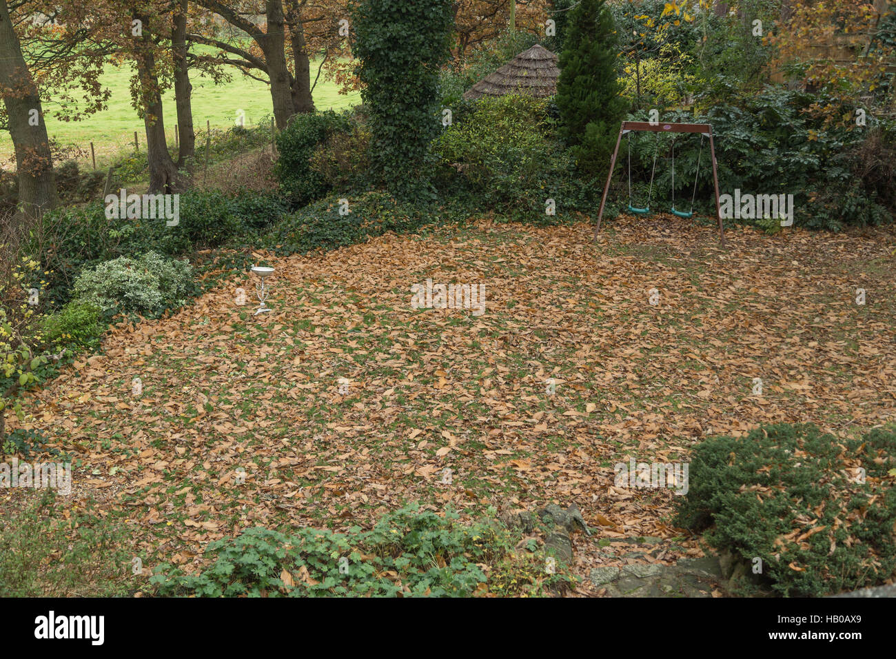 Un bain d'oiseaux dans un jardin entouré de feuilles tombées en automne Banque D'Images