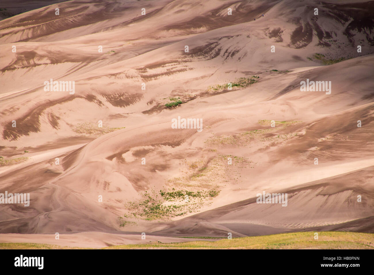 Great Sand Dunes National Park dans le Colorado, United States Banque D'Images