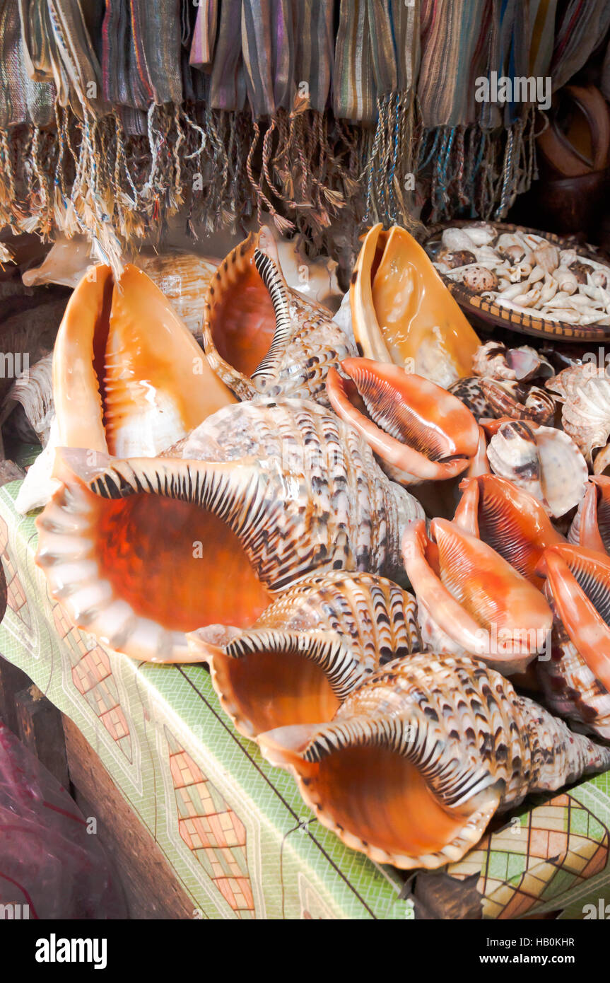 Conches à vendre Banque D'Images