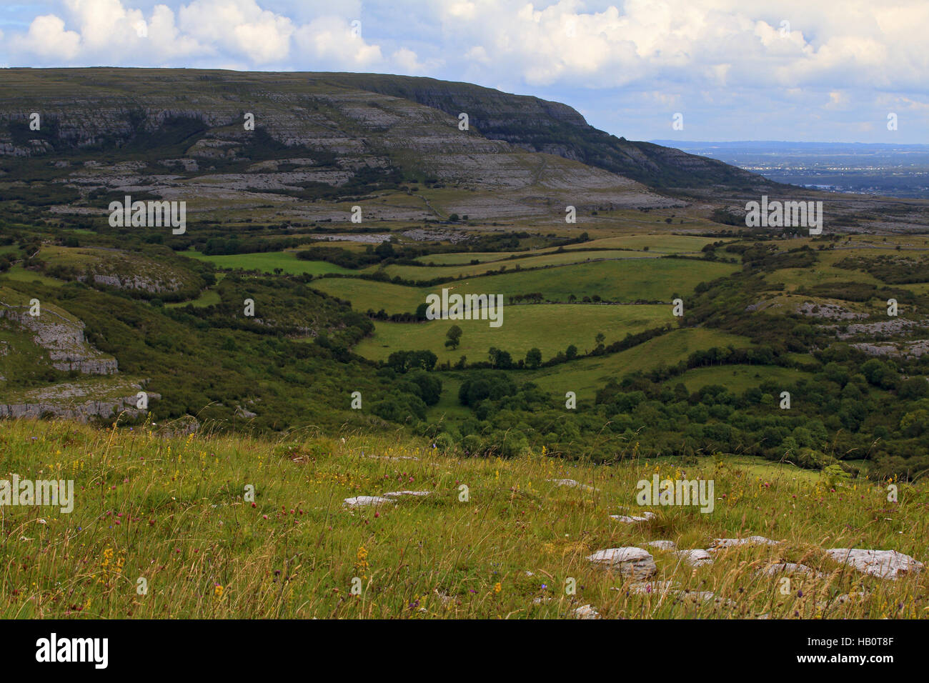 Paysage de Burren, comté de Clare, Irlande Banque D'Images