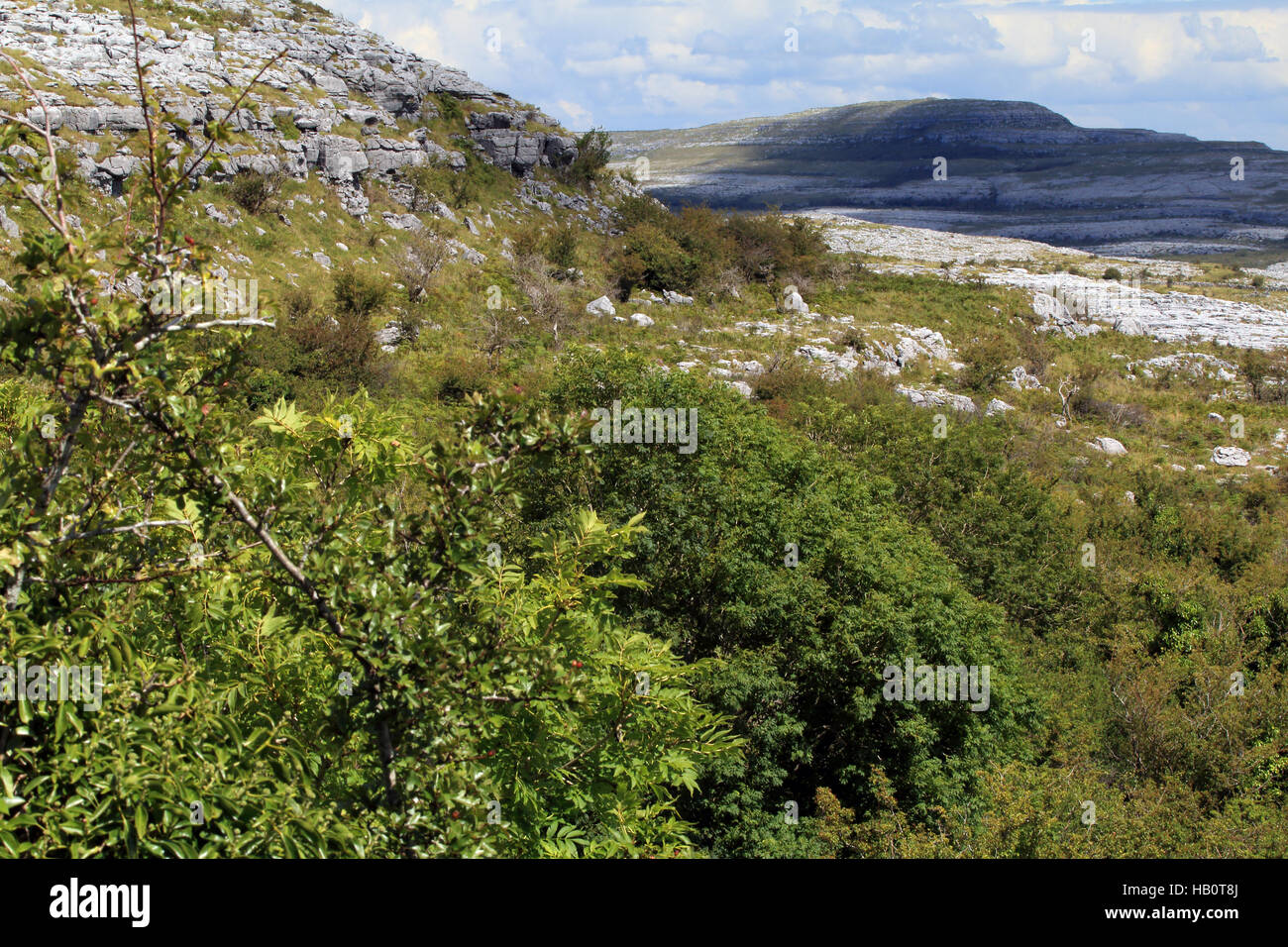 Paysage de Burren, comté de Clare, Irlande Banque D'Images