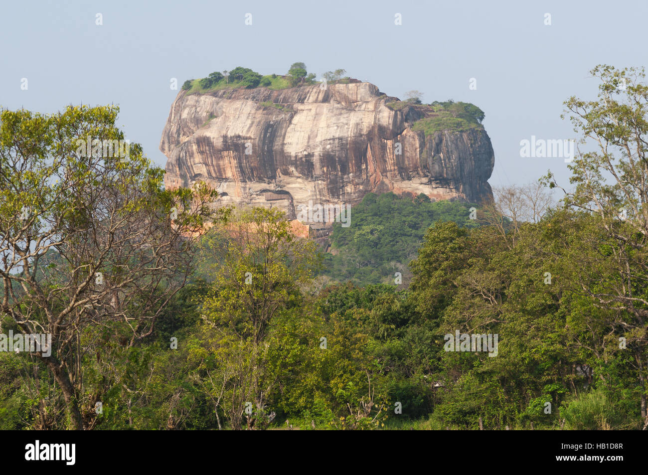 Sigiriya, le Rocher du Lion Banque D'Images
