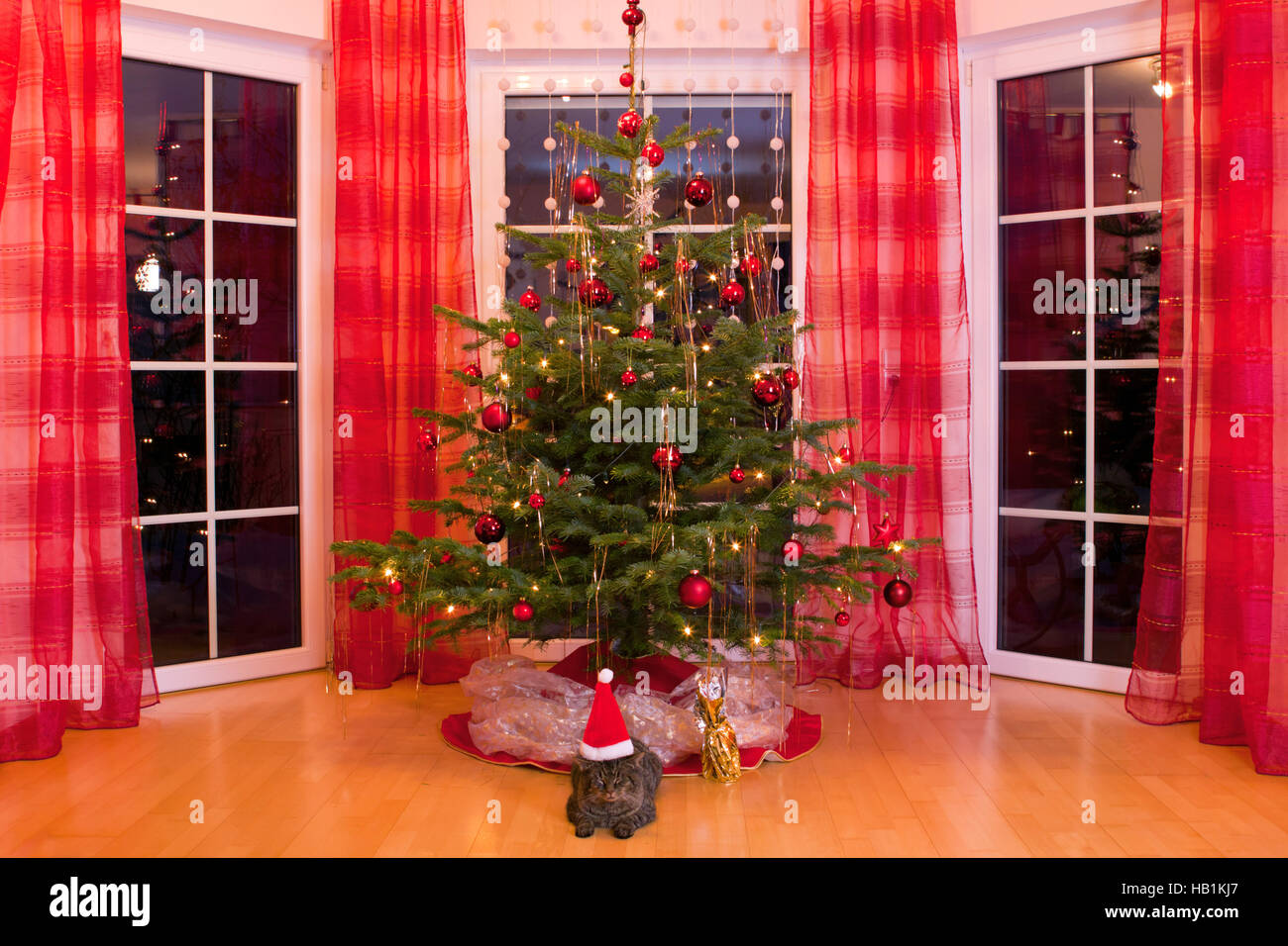 Arbre de Noël. Banque D'Images