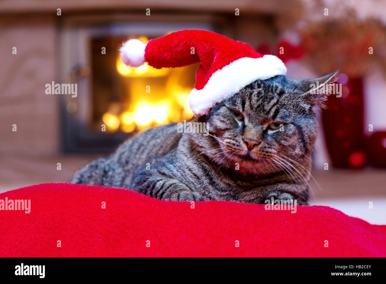 Chat gris avec chapeau de Père Noël et une cheminée. Banque D'Images