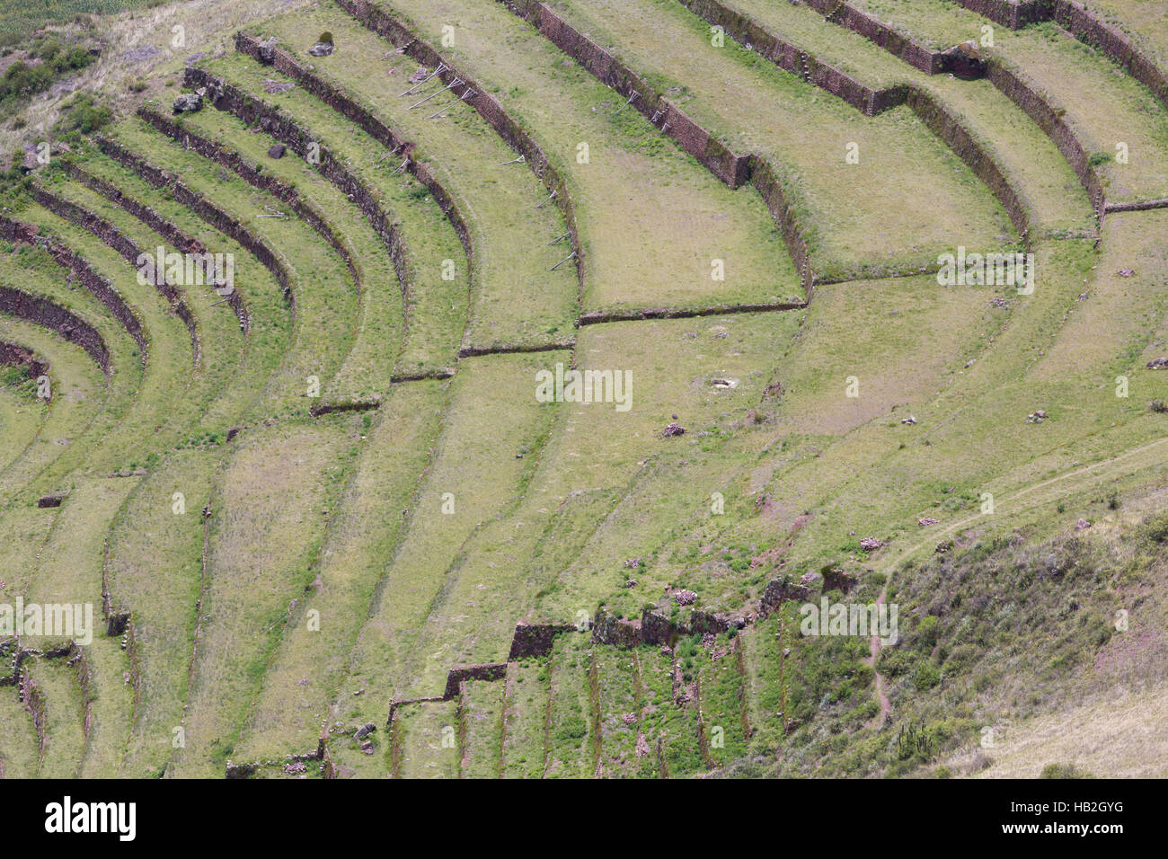 Tour de terrasses agricoles Incas dans la Vallée Sacrée, Pérou Banque D'Images