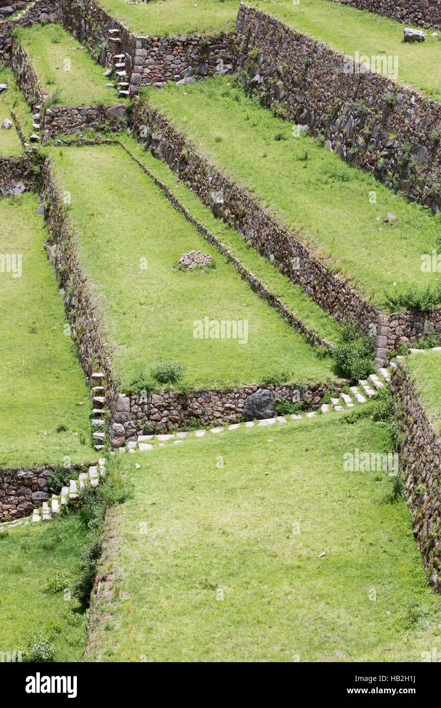 Détails de terrasses agricoles des Incas de Moray, Vallée Sacrée, Pérou Banque D'Images