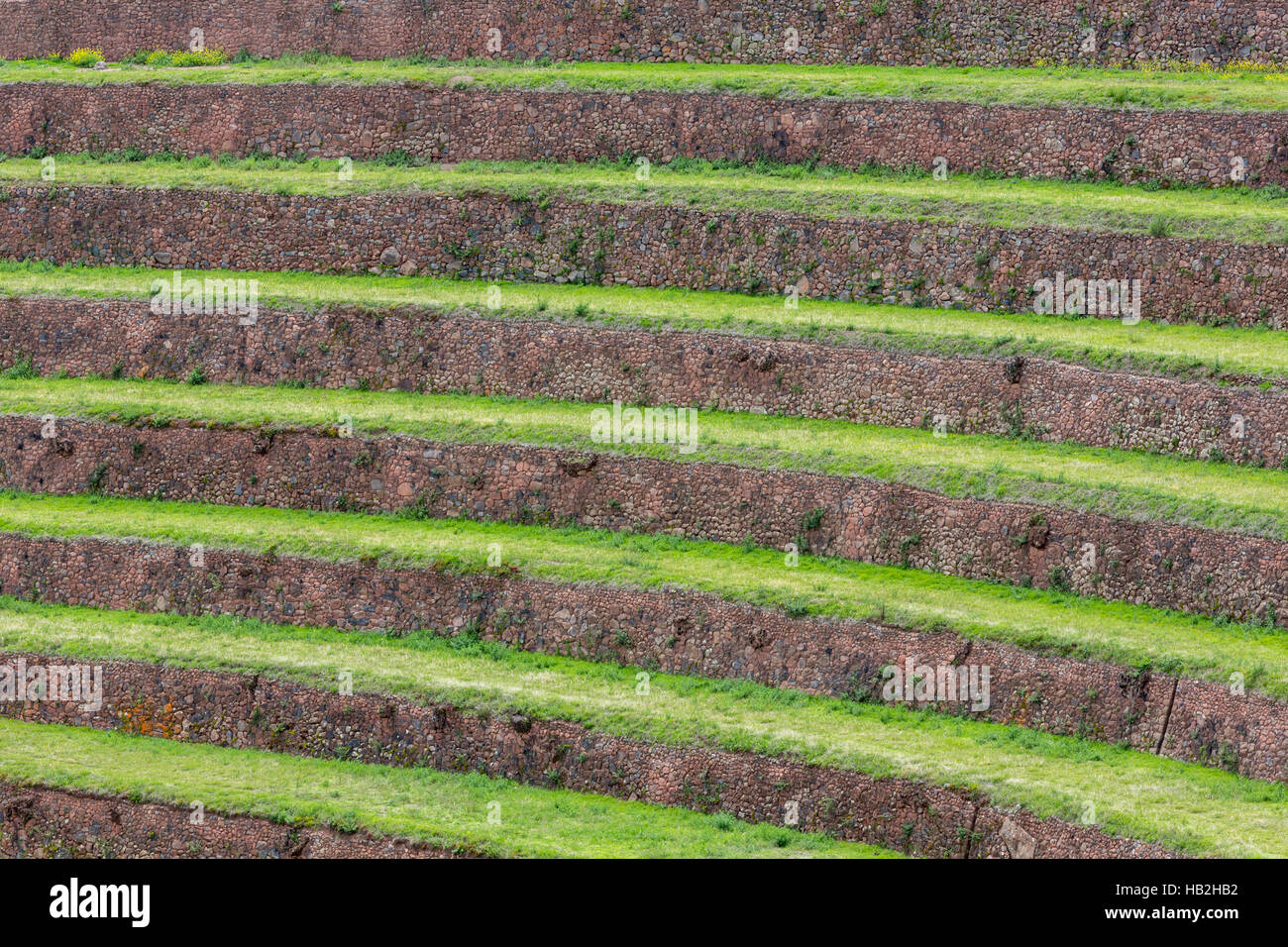 Tour de terrasses agricoles Incas dans la Vallée Sacrée, Pérou Banque D'Images