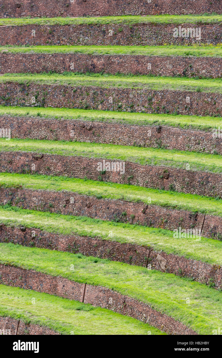 Tour de terrasses agricoles Incas dans la Vallée Sacrée, Pérou Banque D'Images