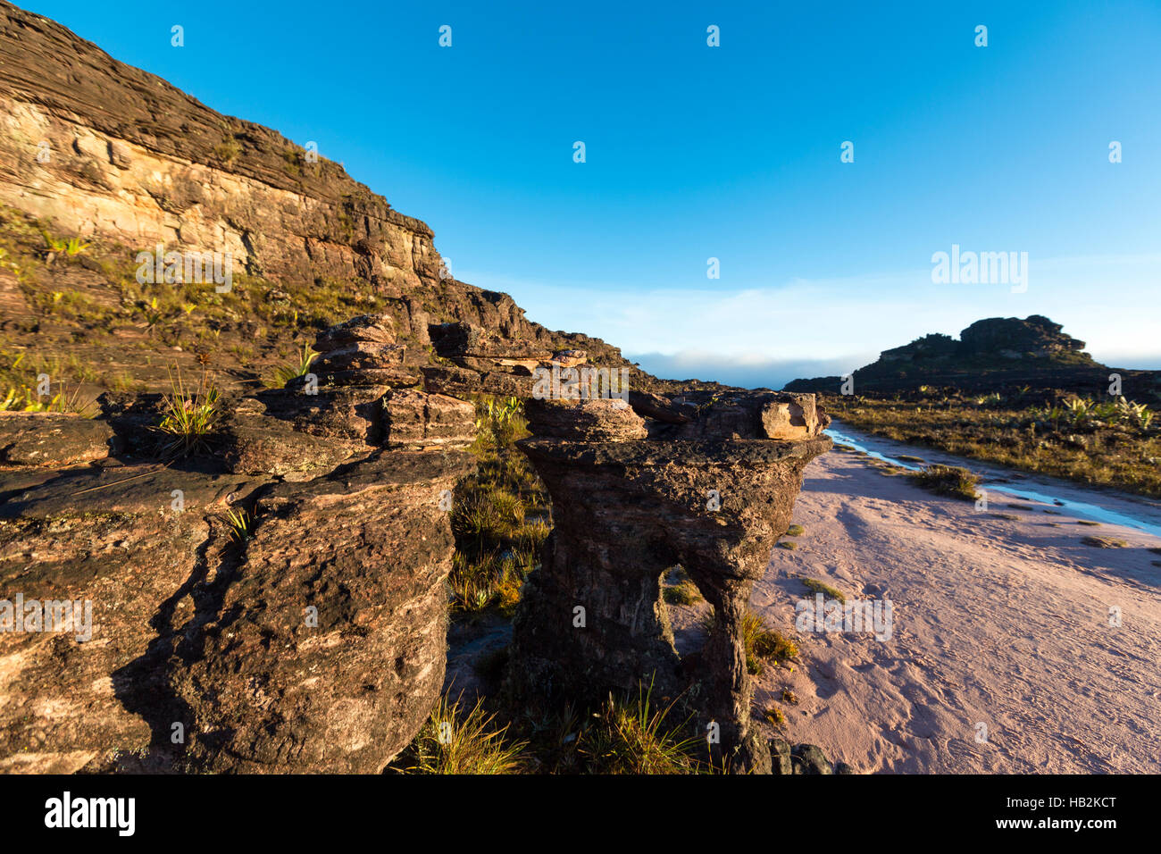 Sommet du Mont Roraima, les pierres noires volcaniques, le Venezuela. Banque D'Images