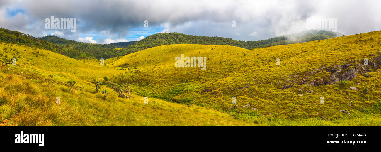 Le Horton Plains. Panorama Banque D'Images