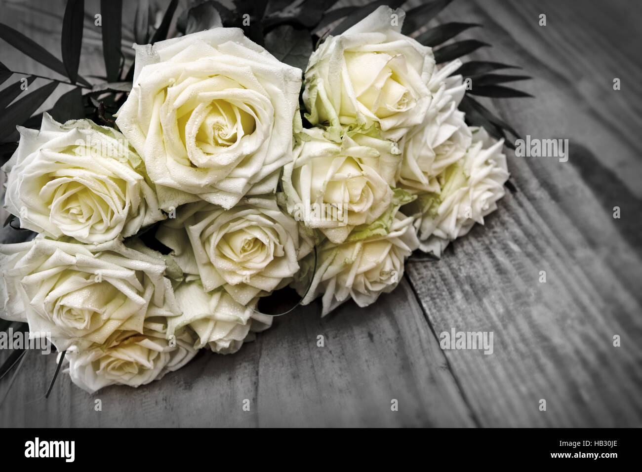 Bouquet de roses blanches. Banque D'Images