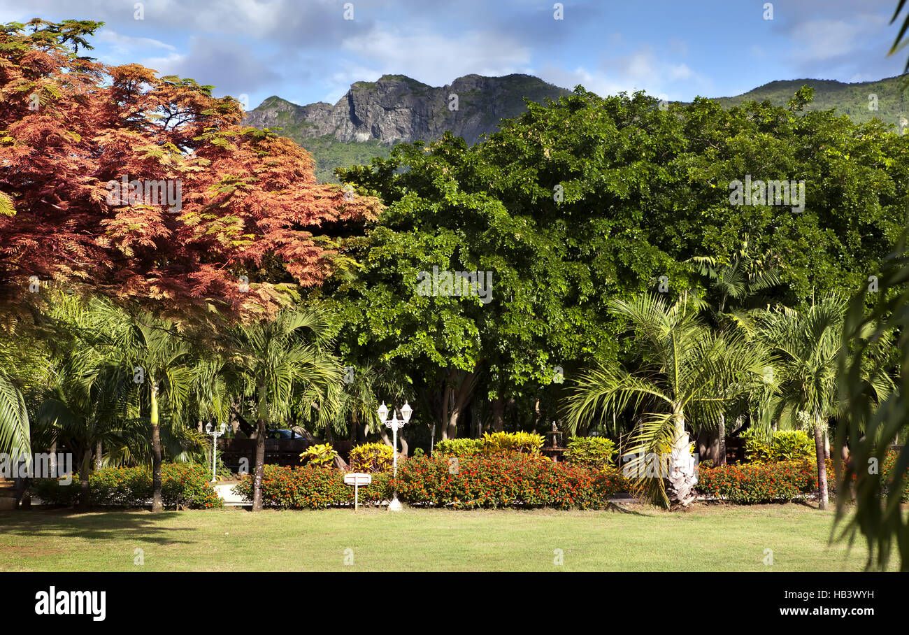 Domaine les pailles mauritius Banque de photographies et d'images à haute  résolution - Alamy