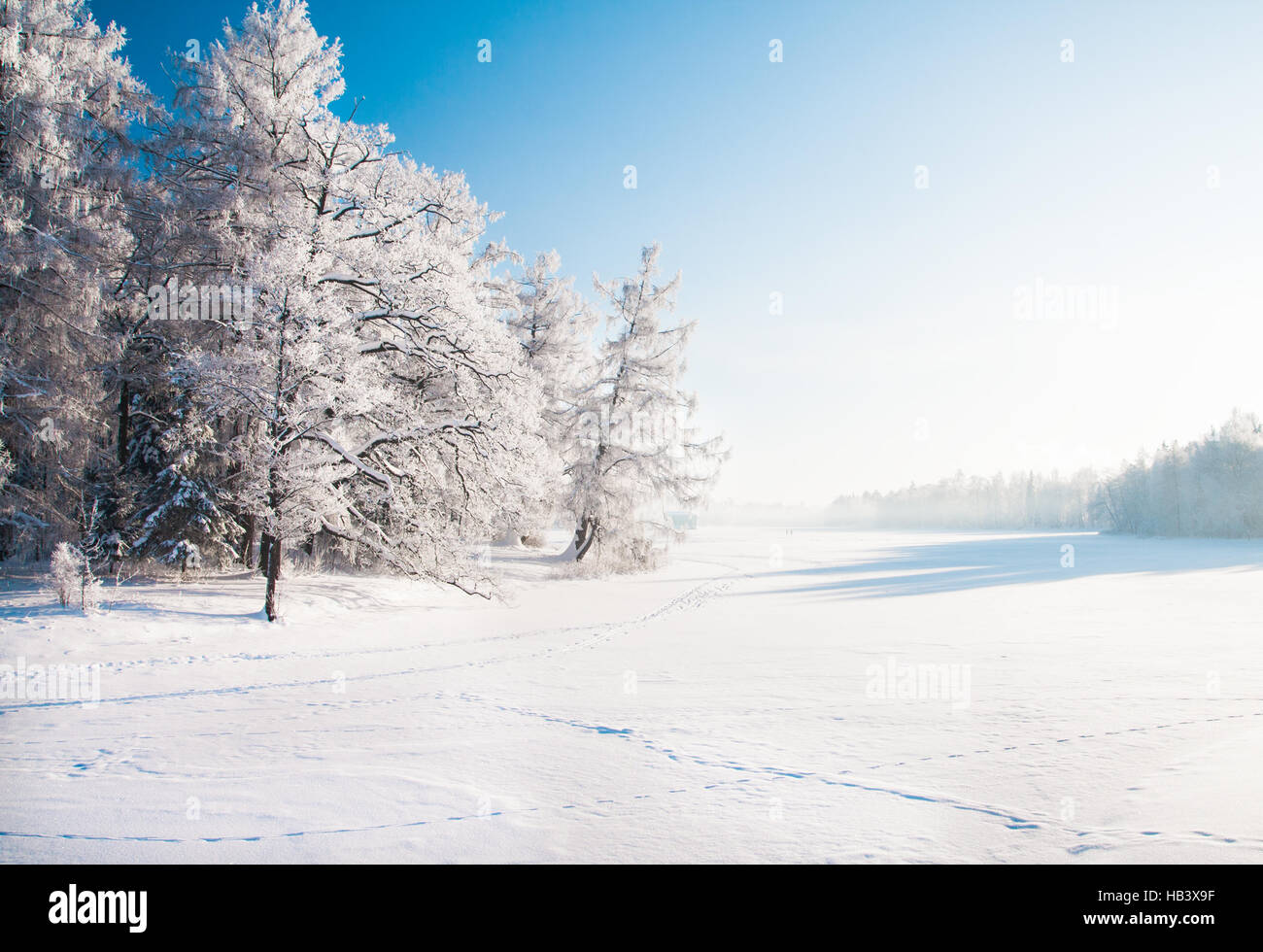 Parc d'hiver dans la neige Banque D'Images