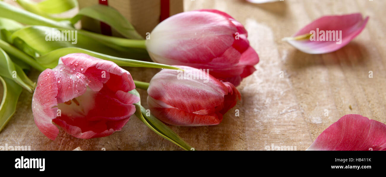 Bouquet de belles tulipes roses . Banque D'Images