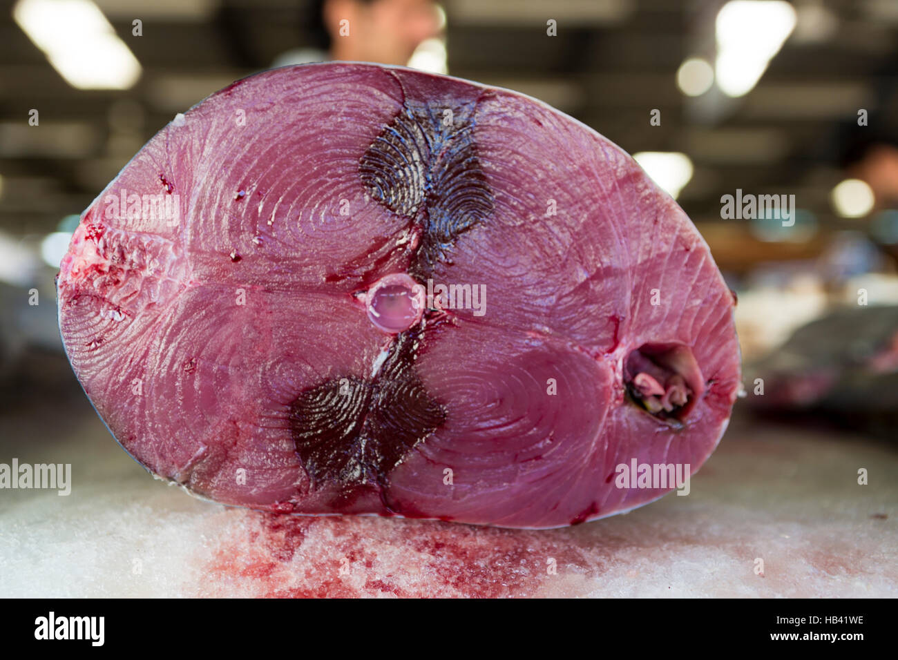 Le thon frais au marché aux poissons de DUBAÏ, ÉMIRATS ARABES UNIS Banque D'Images