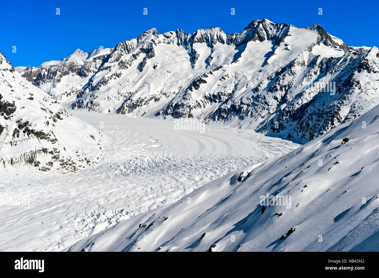 Vue sur le grand glacier d'Aletsch aletsch arena, Riederalp, Valais, Suisse  Photo Stock - Alamy