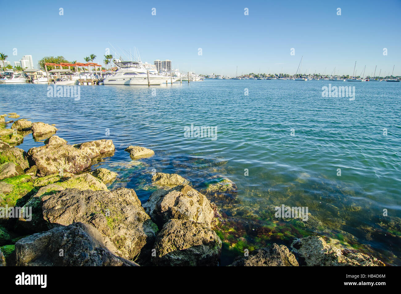 Port de Miami - port de Miami l'une des biggeest passanger port dans USA Banque D'Images