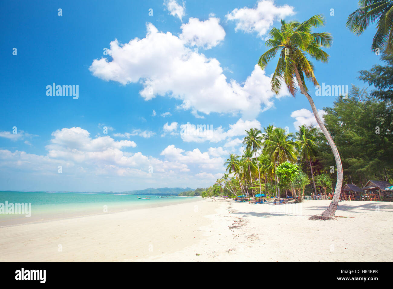 Plage tropicale avec cocotier Banque D'Images