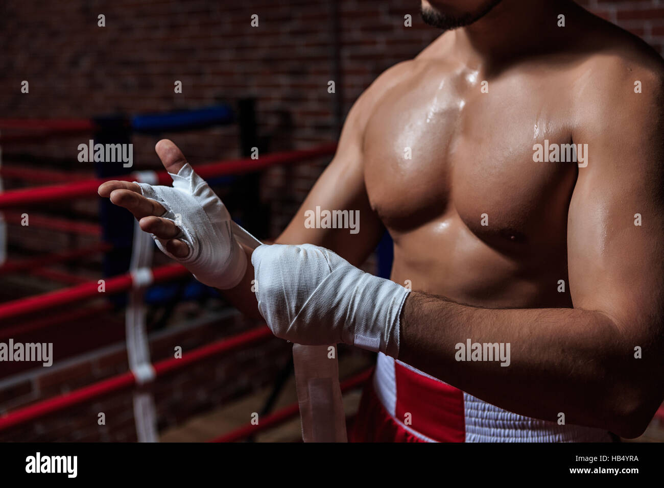 Parties du corps Banque D'Images