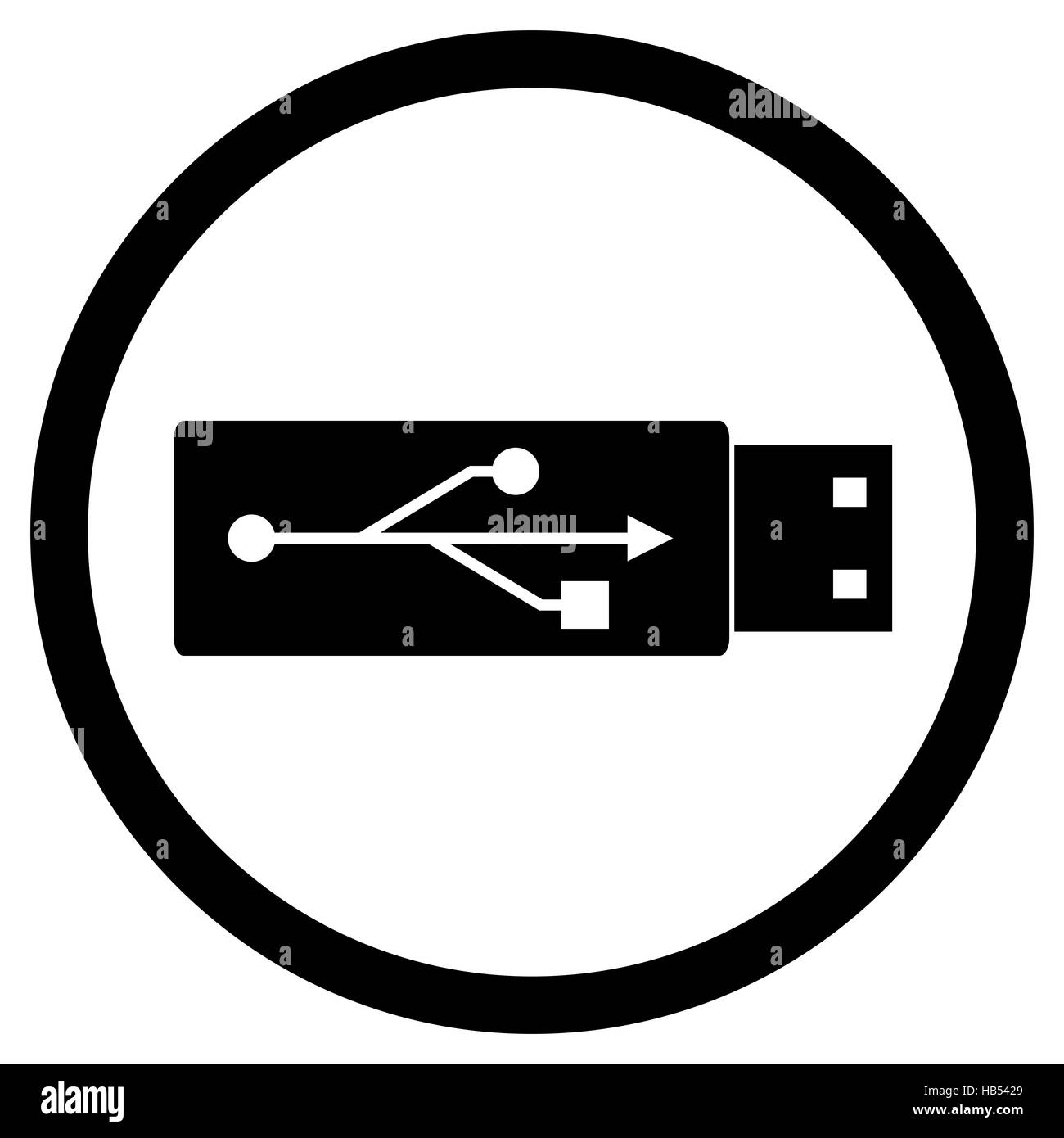 Les disques durs à mémoire Flash icon noir blanc. Clé usb et usb icône vecteur, illustration lecteur usb connect Banque D'Images
