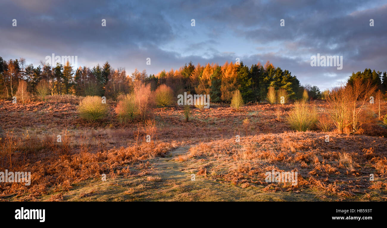 Poe Hill Country Park Autumn Banque D'Images