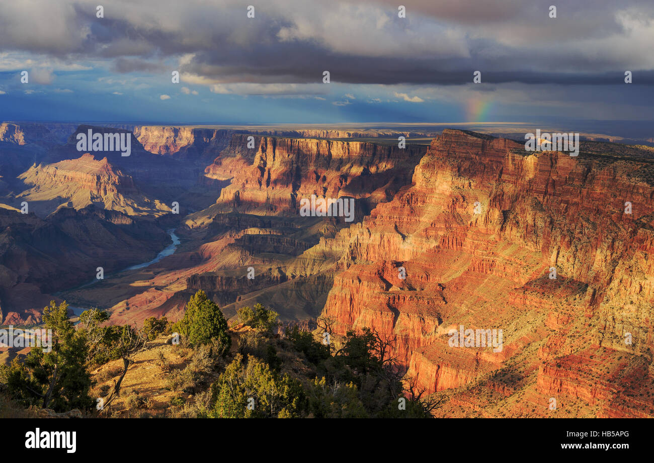 Paysage impressionnant de South Rim du Grand Canyon, Arizona, United States Banque D'Images