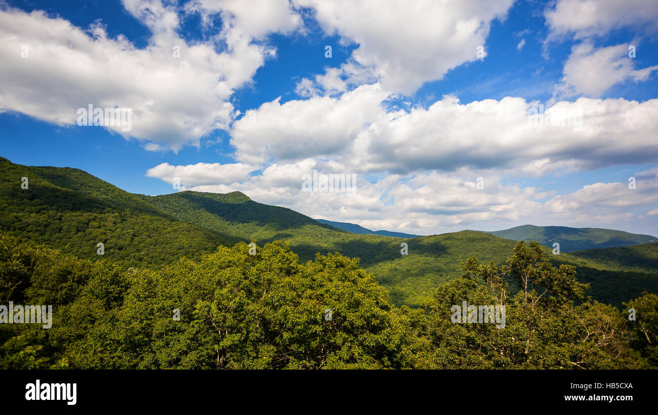 Passé le rouleau nuages vert pittoresque de montagnes Blue Ridge Parkway à Asheville, en Caroline du Nord Banque D'Images