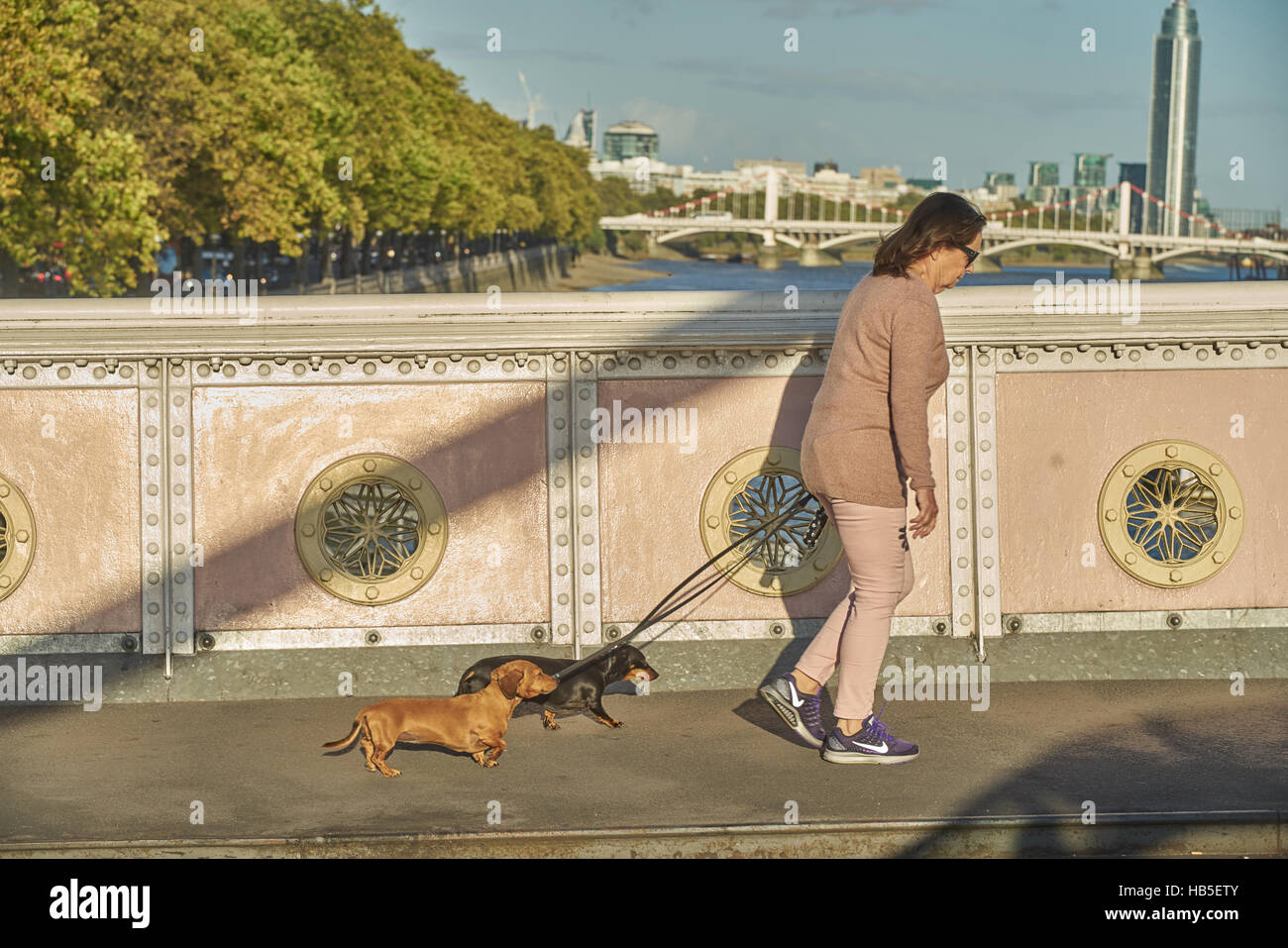 Woman walking dog Banque D'Images