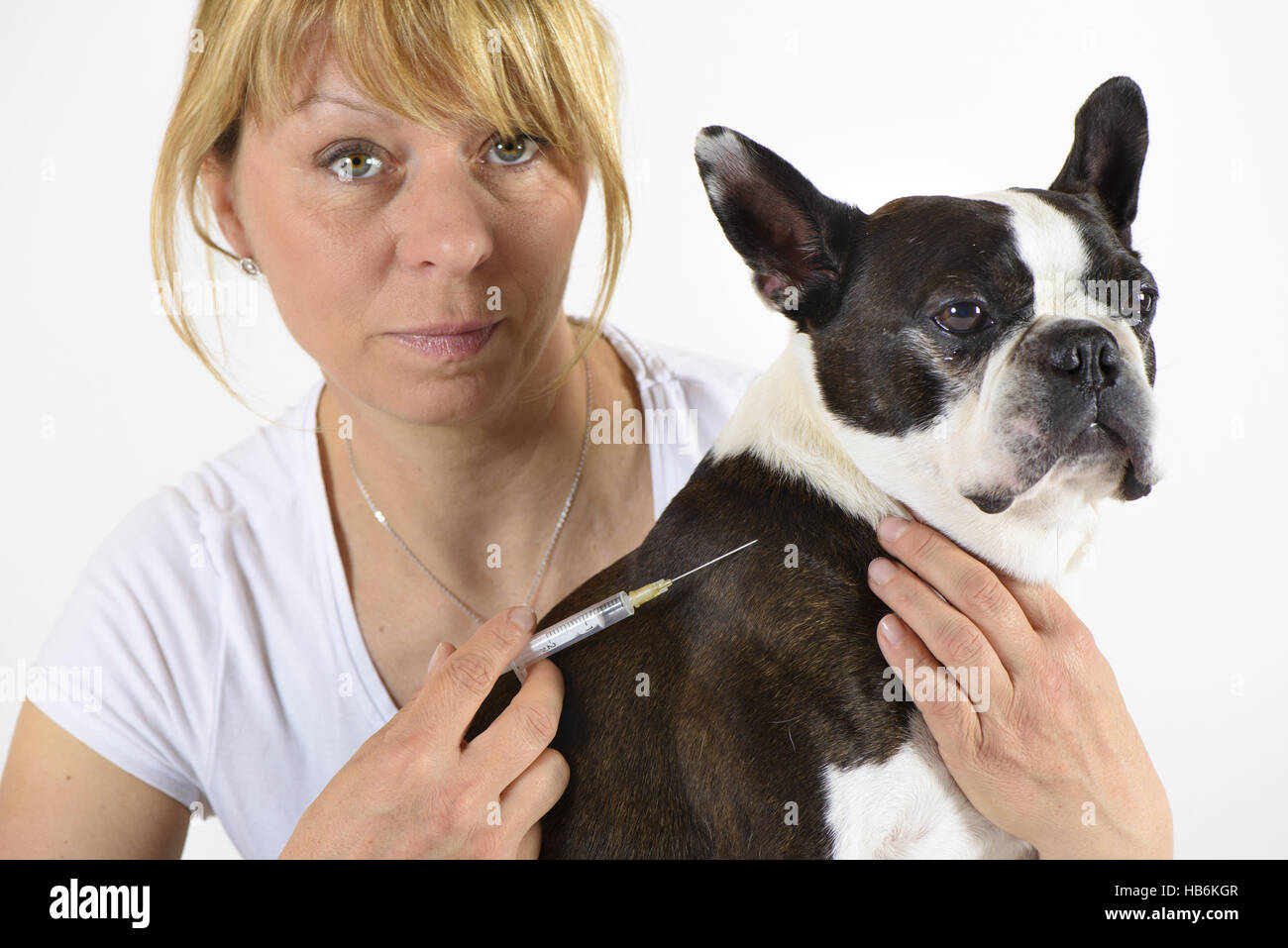 Le chien et l'EFP à injection clinique Banque D'Images
