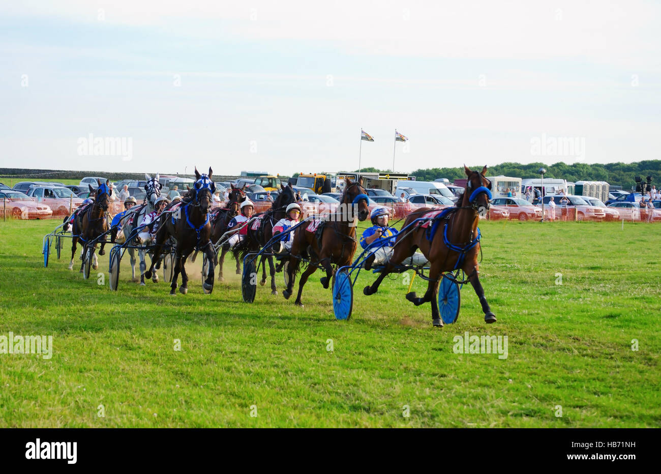 Un départ rapide à un faisceau de la race, de l'herbe autour d'une concurrence sulkys utilisés track tiré par des poneys, pacers, pas le droit de galoper Banque D'Images