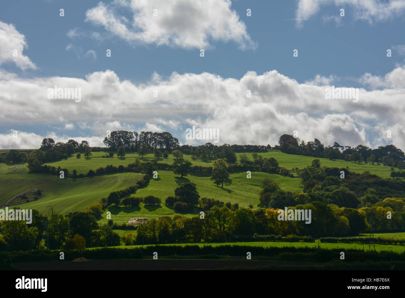 Campagne anglaise typique de haies, de petits champs et de douces collines sous des nuages dans un ciel bleu Banque D'Images